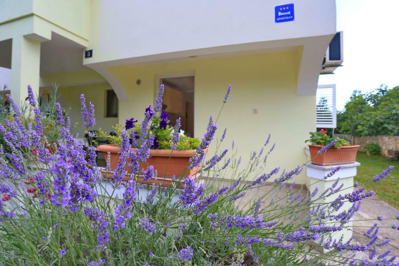 Apartments Romansa Zaton  Zewnętrze zdjęcie